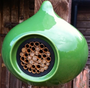 Green beepalace with nesting bees